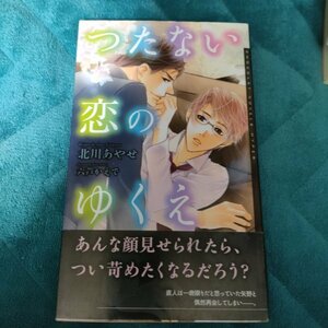 つたない恋のゆくえ ショコラノベルスＨＹＰＥＲ／北川あやせ 【著】