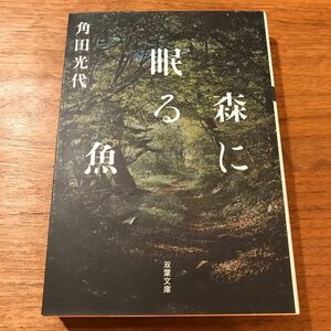 森に眠る魚 （双葉文庫　か－３０－０３） 角田光代／著