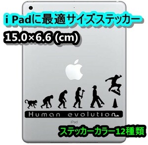 ★千円以上送料0★(15cm) 人類の進化【スケートボード編】スケボー、オリジナルステッカー、カー、車用にも、DC5