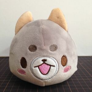 ＜美品＞触り心地もちもち★ぬいぐるみ もっちぃずう？★いぬ 犬 イヌ★大きさ約20cm 〈w.