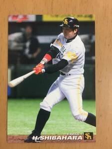 2009年カルビープロ野球カード・149・柴原洋(福岡ソフトバンクホークス)