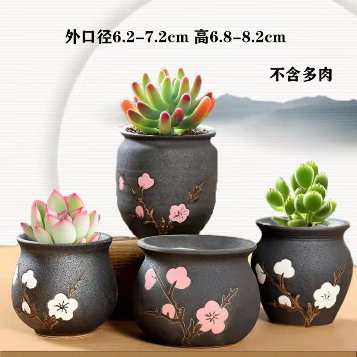 良質 手作 植木鉢 素焼陶器 植木鉢 陶器 F
ラン 洋ラン 胡蝶蘭 陶器 化粧鉢