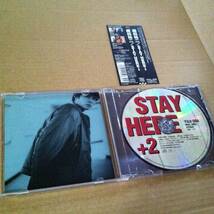 織田裕二　　STAY HERE +2　　 　CD　　　　　　商品検索用キーワード : 歌　ボーカル VOCAL　アルバム ALBUM_画像3