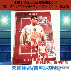 全日本プロレスくじ　50周年記念　C賞　クリアファイル　ステッカー　田上明　全日本プロレス　プロレス　プロレスくじ