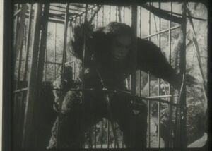 35mm予告フィルム ×３コマ 「獣人雪男」 ① 　1955年　　