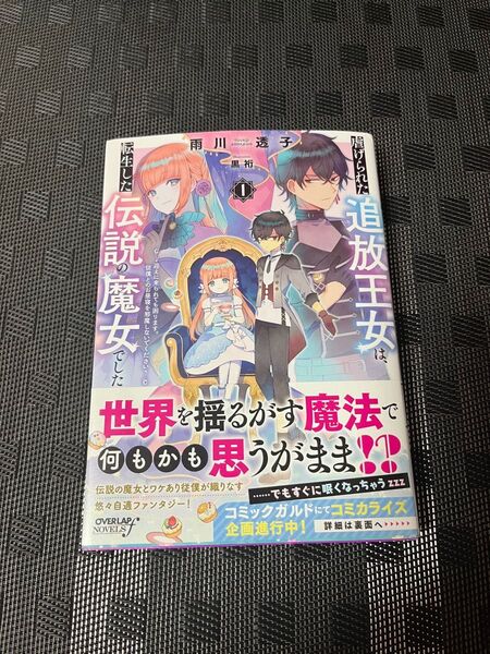 虐げられた追放王女は、転生した伝説の魔女でした 迎えに来られても困ります。従僕とのお昼寝を邪魔しないでください 1