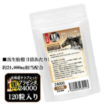 馬プラセンタ24000 お徳用120粒　北海道サラブレット胎盤使用　1日目安/4粒　約1ヶ月分　1袋当たり馬生胎盤　約24,000mg相当配合_画像1