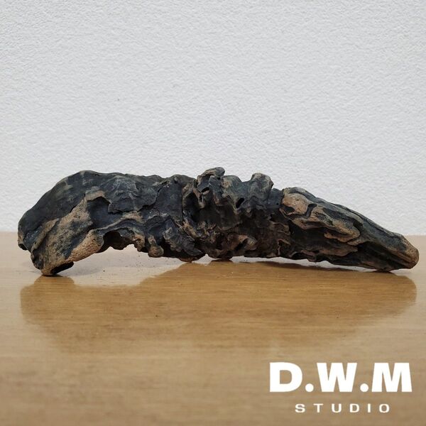 【339】流木 インテリアや爬虫類などに 止まり木 アクアリウム