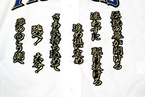 ◆送料無料◆ 大谷 応援歌 (行金/黒) 刺繍 ワッペン 日本ハム ファイターズ 応援 ユニホーム に