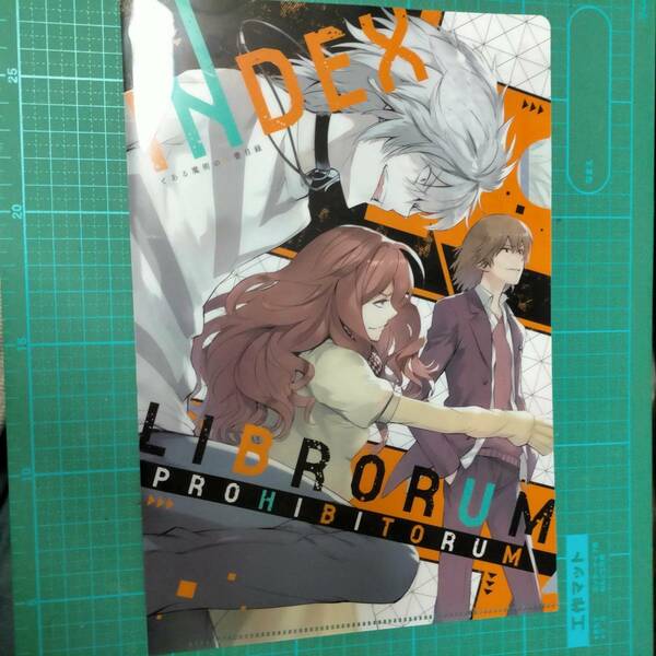 付録 非売 とある魔術の禁書目録 B5 クリアファイル A Certain Magical Index LIBRORUM PROHIBITORUM clear folder document File limited