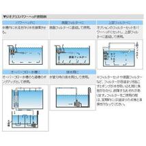 カミハタ リオプラスパワーヘッド Rio+50 60Hz_画像4