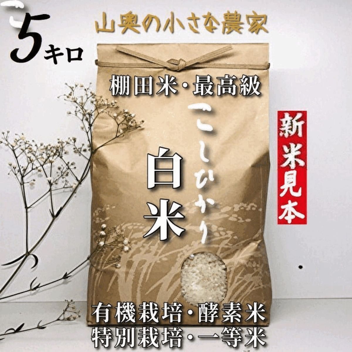 最安値挑戦!】新米ミルキークイーン 酵素米 お米 玄米5kg「無洗米