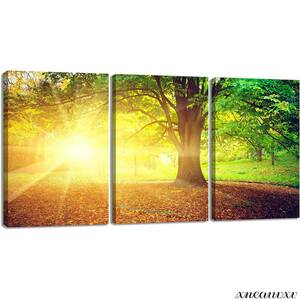 nature scenery 3 sheets art panel sun tree nature plant forest . interior part shop decoration equipment ornament picture 3 panel photograph ornament light weight gift stylish beautiful scenery 