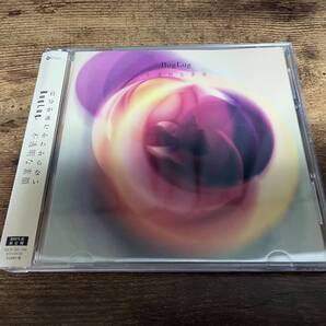 BugLug CD「不透明な素顔」DVD初回生産限定盤●