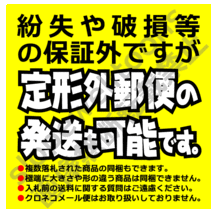 パチスロ【実写版 旋風の用心棒】非売品DVD_画像3