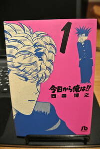 今日から俺は☆西森博之☆文庫サイズ第1巻