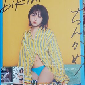 ちんかめ ビキニ 写真集