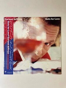 ★美盤 GARLAND JEFFREYS/GUTS FOR LOVE *1710