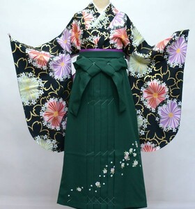  kimono hakama set Junior for . correcting 144cm~150cm From KYOTO black ground crepe-de-chine ground hakama modification possibility new goods ( stock ) cheap rice field shop NO32458-144