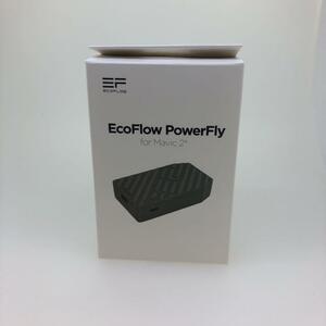 EcoFlow PowerFly for Mavic 2 энергия банк ECOAM2