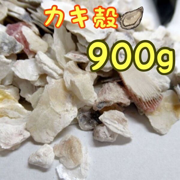 牡蠣殻 900g