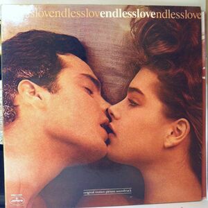 【検聴合格】1981年・美盤！美ジャケット・サントラ盤：ダイアナ・ロス&ライオネル・リッチー「ENDLESS LOVE -エンドレス・ラブ」【LP】