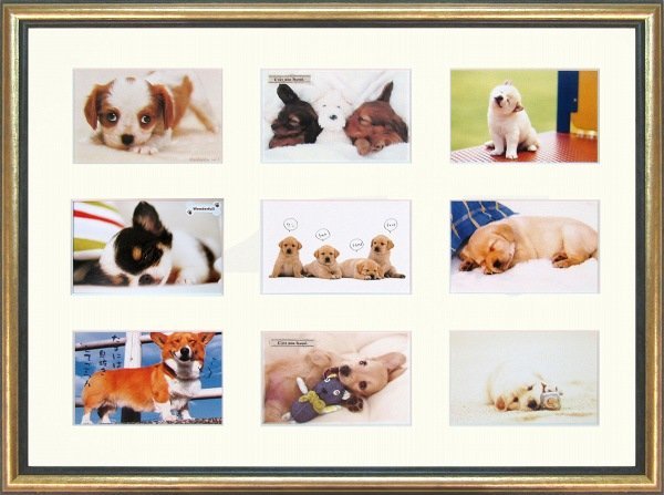 ◎Reproducción de sonrisa de perro con foto de animal ★ Pintura de animales [Nuevo], Obra de arte, Cuadro, otros