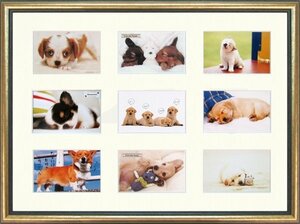 Art hand Auction ◎Reproducción de sonrisa de perro con foto de animal ★ Pintura de animales [Nuevo], Obra de arte, Cuadro, otros