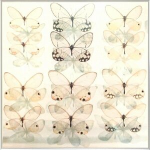 Art hand Auction ◎ Reproducción de mariposas ★ Pintura abstracta, Obra de arte, Cuadro, otros