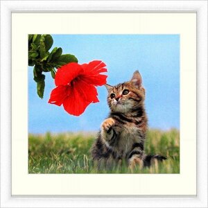 Art hand Auction ◎ Hibiscus and Cat reproduction ★Animal painting [New], artwork, painting, others