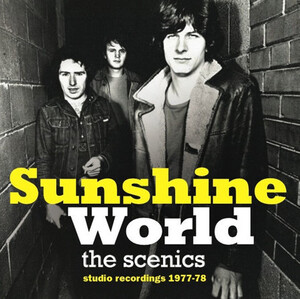 SCENICS, THE -In The Summer : Studio Recordings 1977-1978 (C