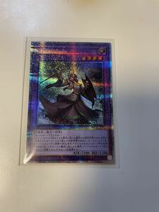 旧神ヌトス 25thシークレットレア 数量1 遊戯王OCG RARITY COLLECTION -QUARTER CENTURY EDITION- レアリティコレクション 希少