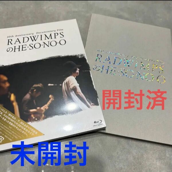 RADWIMPS hesonoo DVD パンフレット