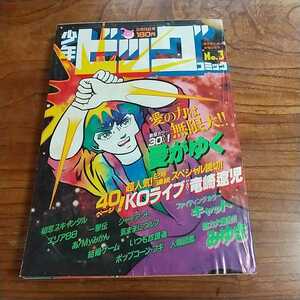 少年ビッグコミック1984昭和59年2/10 小山ゆう あだち充 ほそかわ春 柳沢きみお あおきてつお 松田一輝 村尾ミオ 