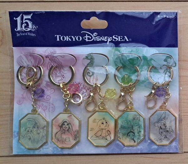 ディズニーシー15th☆キーホルダー5種類