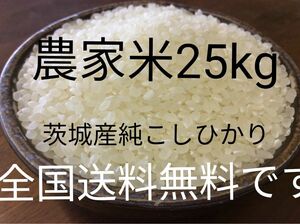 茨城産こしひかり　25kg 送料無料です