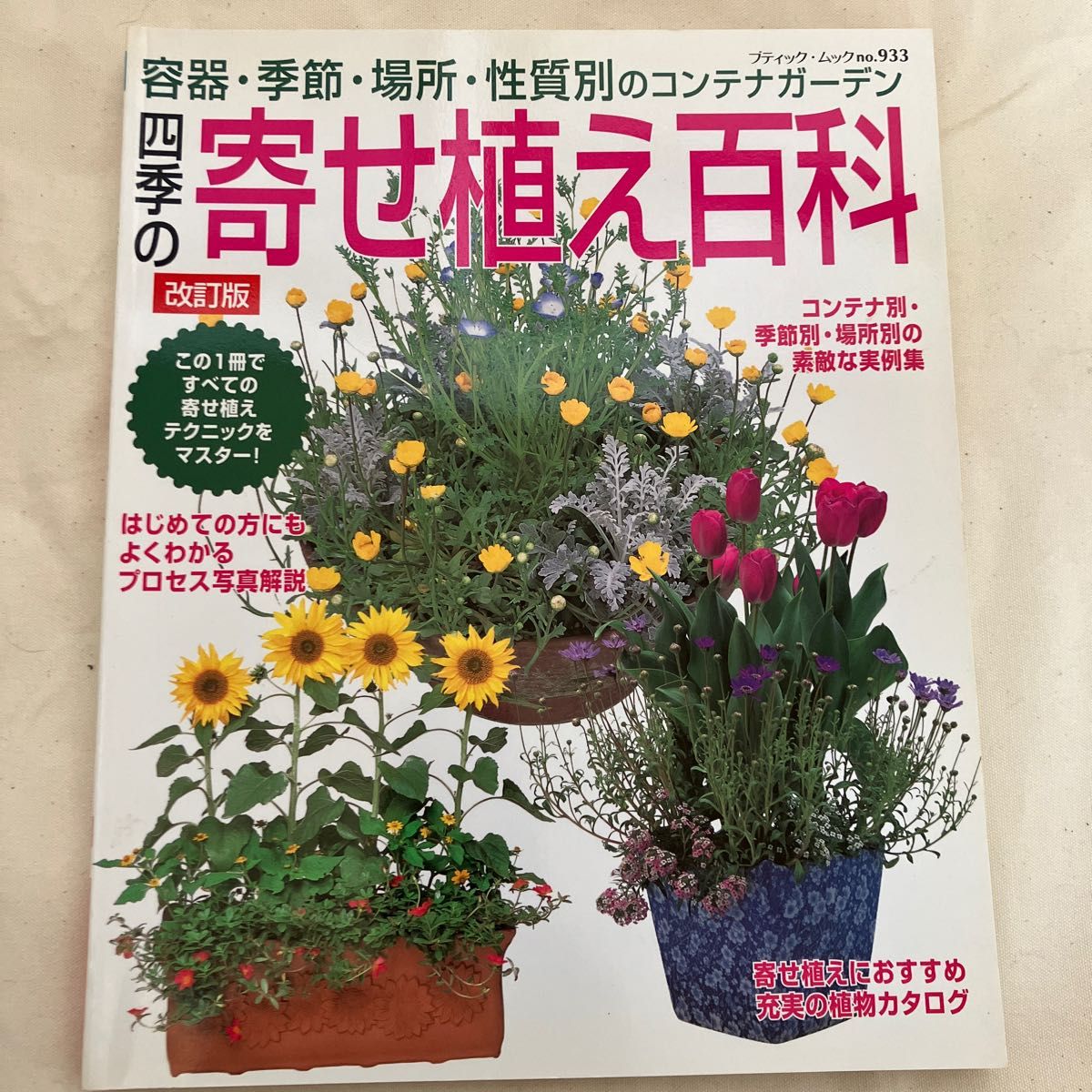 ブランシェ・ゲージ 大アンティーク シャビー 寄せ植え ブリコラージュ