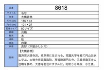 【模写】吉】8618 大橋香林 名号 共箱 臨済宗大徳寺派 塔頭興臨院 岐阜県の人 仏教 書 掛軸 掛け軸 骨董品_画像10