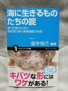 本★海に生きるものたちの掟★食うか食われるか、命を受け継ぐ食物連鎖の秘密★窪寺恒己 サイエンス・アイ新書・帯あり