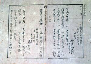 f23020906〇明治布告布達 人相書 手配書 逃亡 捕縛 遠江国 千葉県 神奈川県 明治６年 京都府御布令〇和本古書古文書