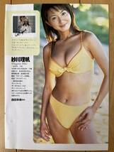 ○ 秋川理帆 上原まゆみ グラビア キャンギャル 雑誌 切り抜き 2P/27977_画像1