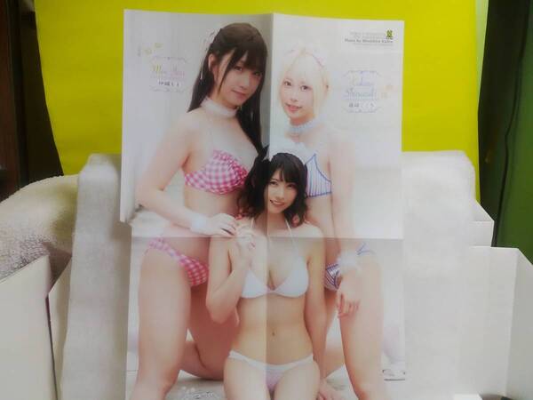 中古 切り抜き 伊織もえ えなこ 篠崎こころ (ver.2021~2022) セット (少年チャンピオン 付録)