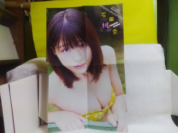 中古 切り抜き 石田桃香 （ver.2020~2021） セット （少年チャンピオン 付録）