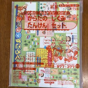 進研ゼミ小学講座 2010年度　チャレンジ1年生付録　からだのしくみたんけんセット