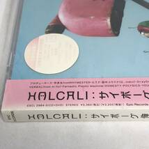 見開封新品　 HALCALI　「サイボーグ俺達」　初回限定盤　CD+DVD　2枚組　全12曲全６曲　　ESCL2984_画像6