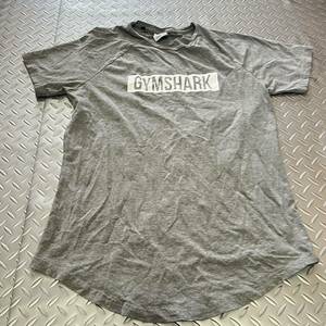 米軍放出品　沖縄　グレー　Tシャツ 　コレクション　ランニング　トレーニング　MEDIUM (INV PQ50)