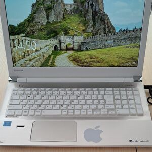 dynabook EX／3EG PTEX-3EPSJG2 サテンゴールド 中古PC