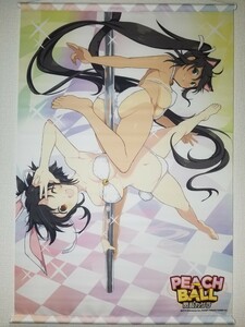 飛鳥＆焔 描き下ろしB2タペストリー Switchソフト PEACH BALL 閃乱カグラ ファミ通DXパック コミケ C101 COMIC1 コミ1 コミティア