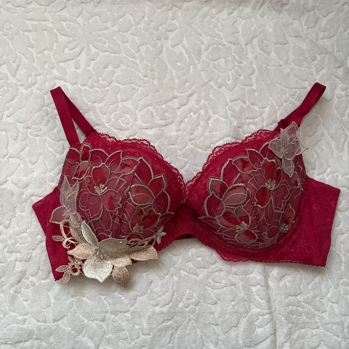 ヤフオク! -サルート(ブラジャー)の中古品・新品・古着一覧