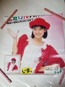 9 Minamino Yoko Fuji цвет постер 